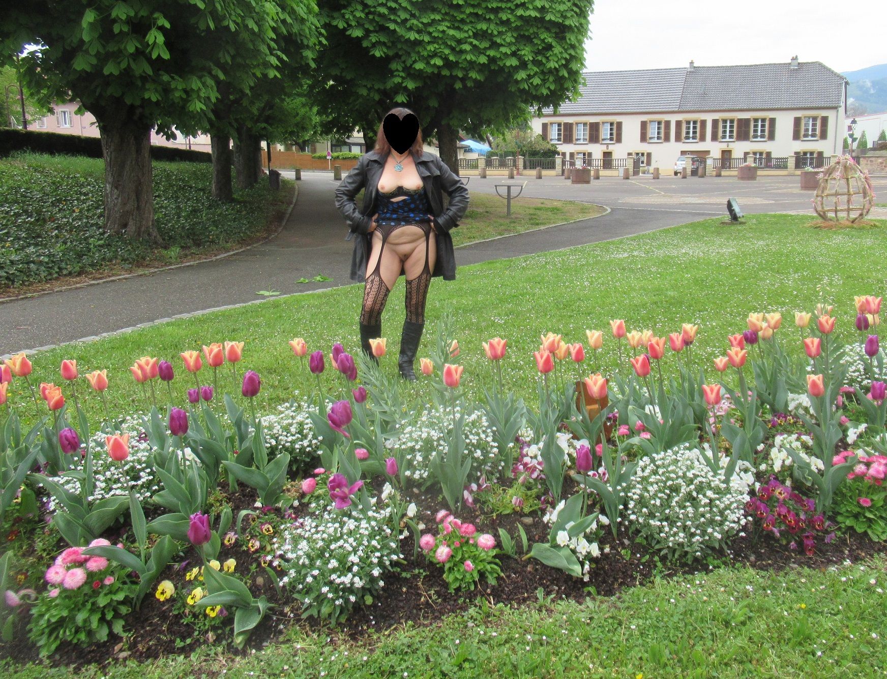 parterre de tulipes