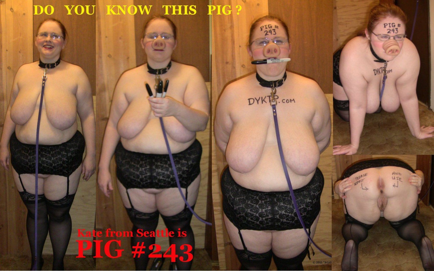 Pig #243