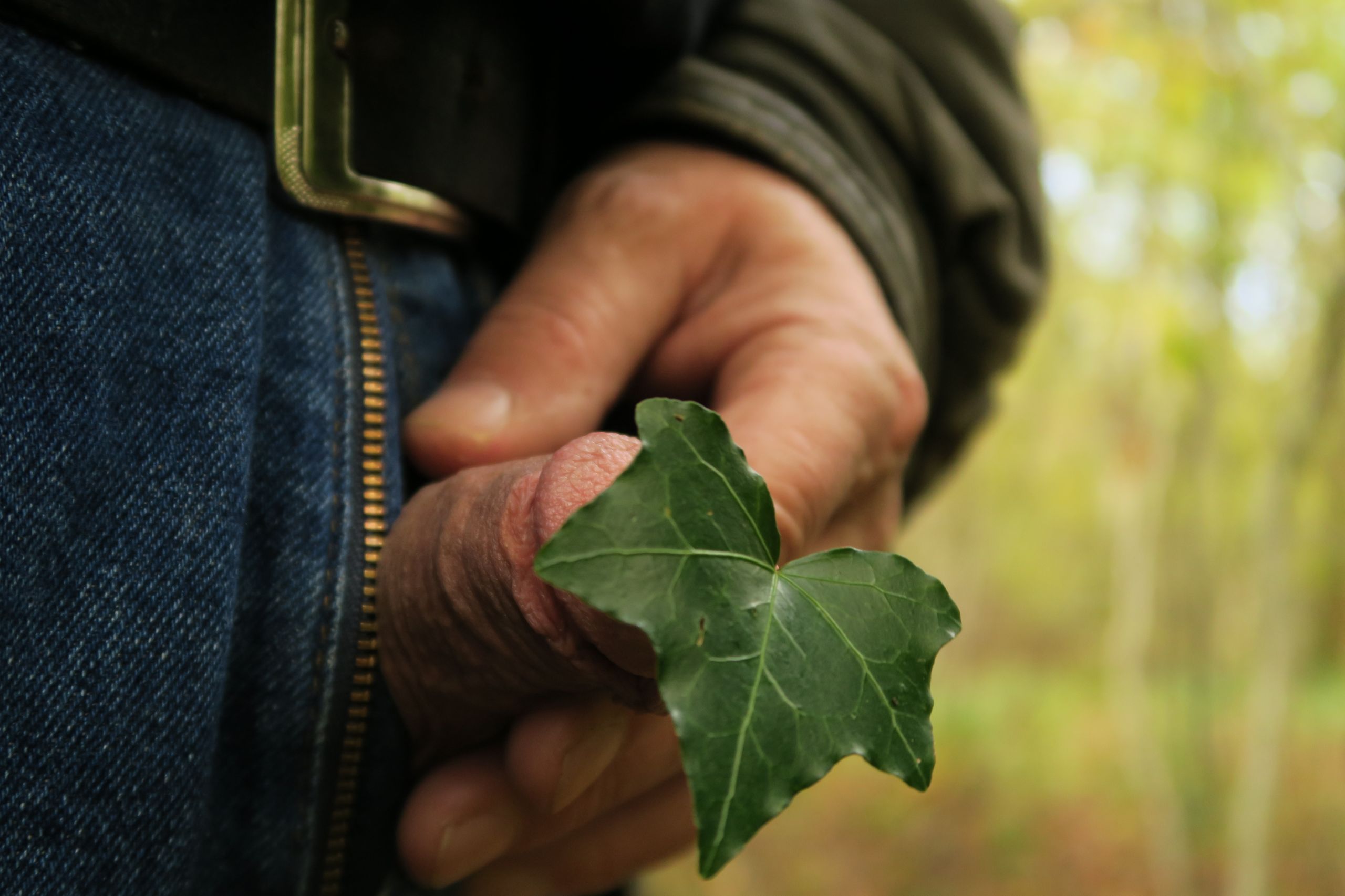 Bite d'automne (20)