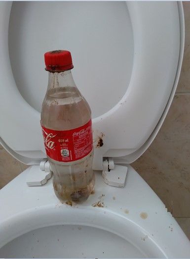 Shitted 600ml bottle