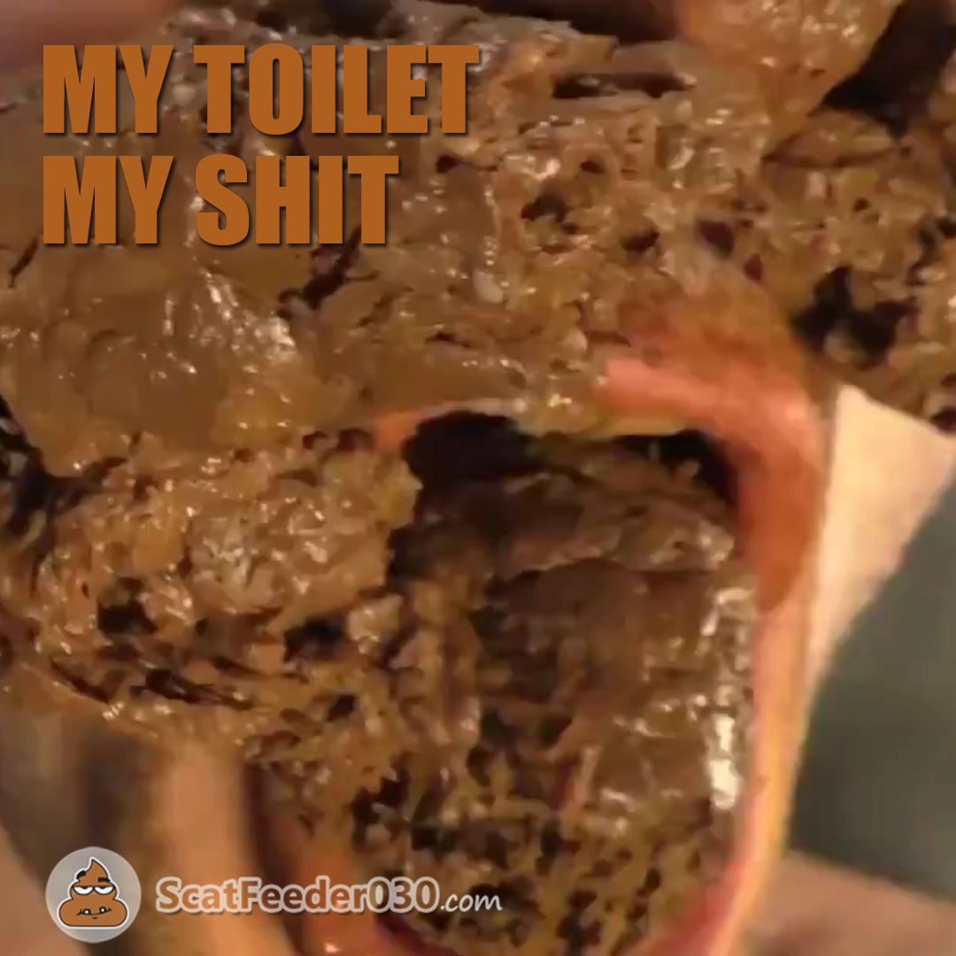 My toilet - my shit