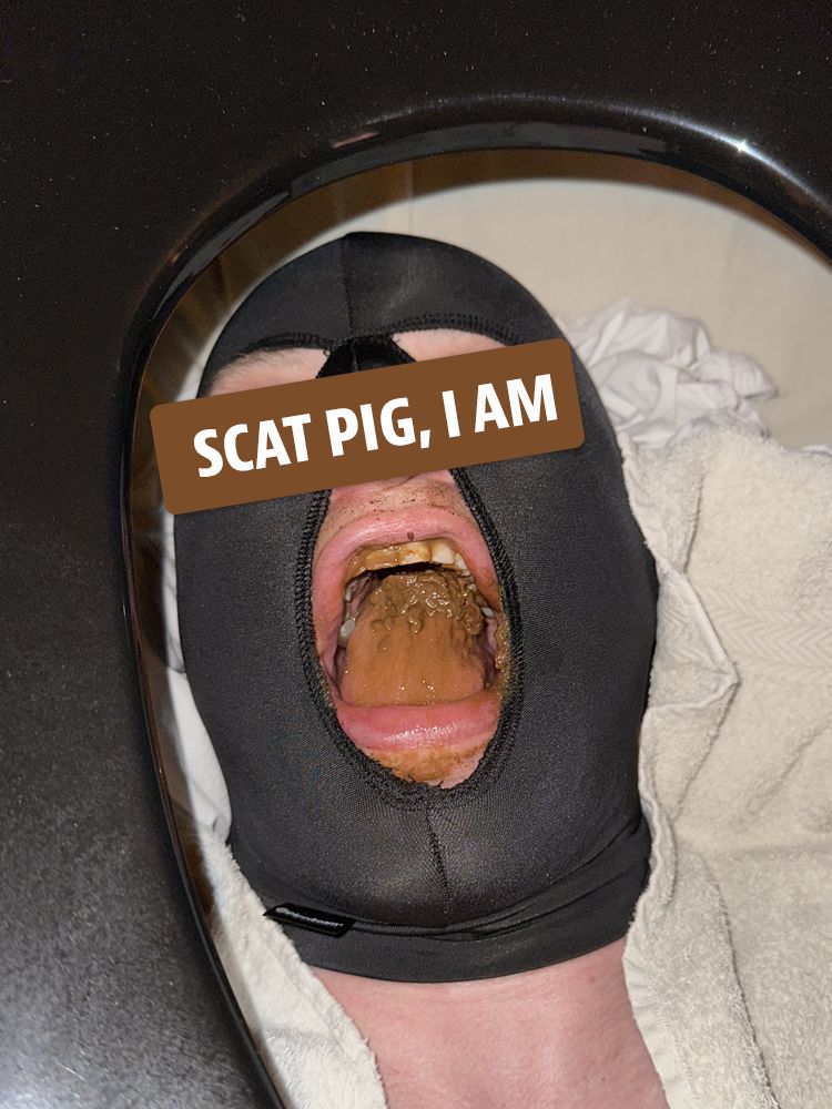 Scat Pig, I am
