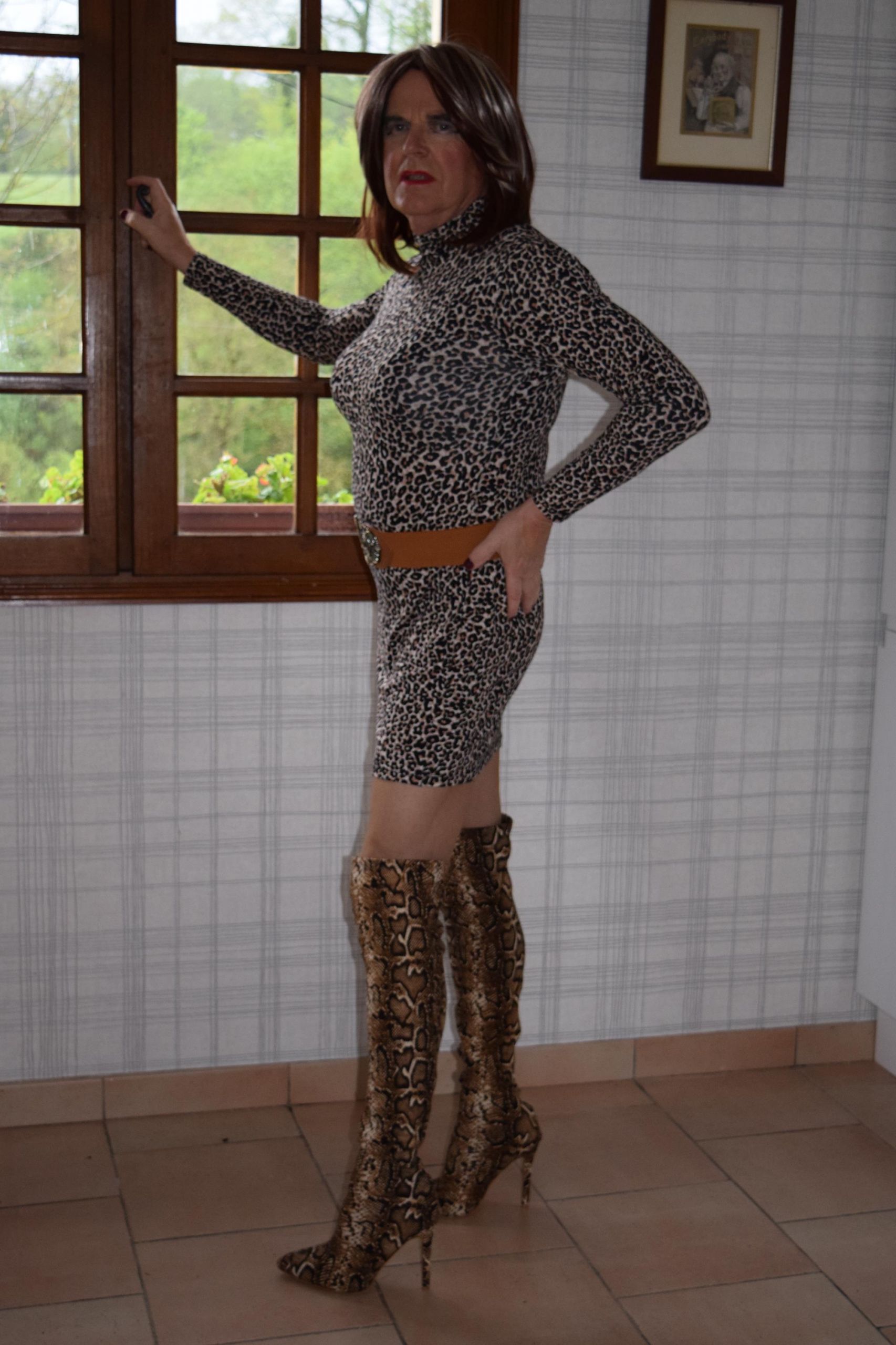 Leopard Night