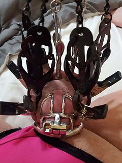 Chastity cbt