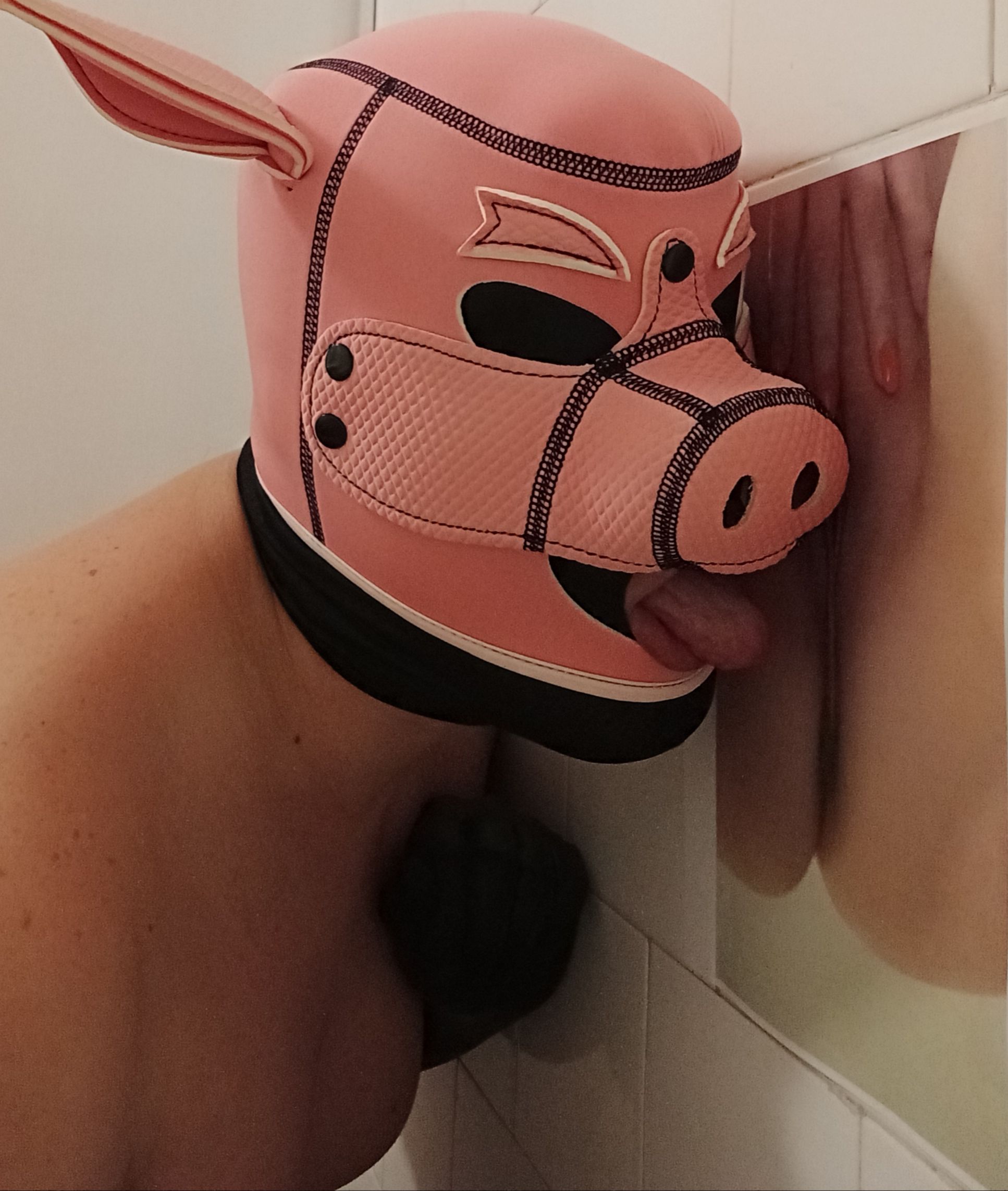 Horny pig loyal sex slave pamper Madame Michelle hot swollen wet pussy and sexy ass!
