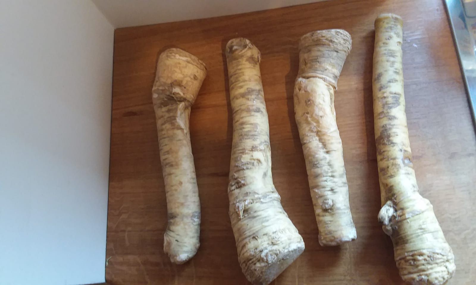 Warum heisst der Meerrettich in England Horseradish?
