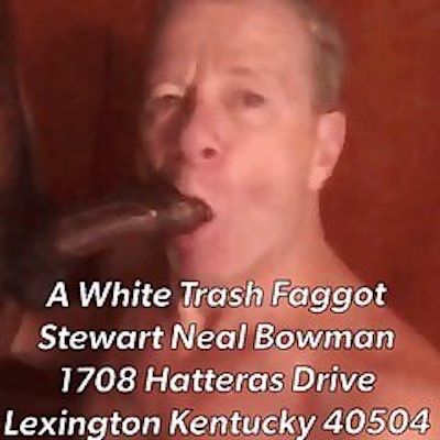 stewart sucking another bbc