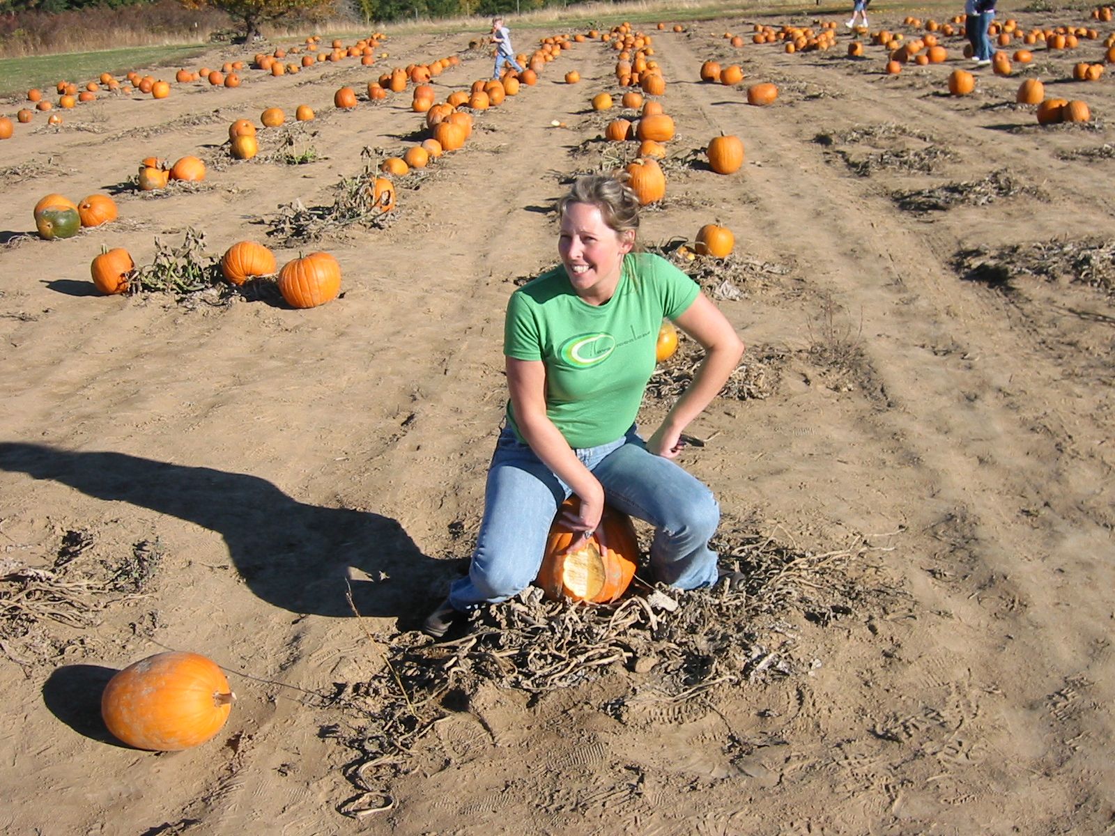 calabazas IMG_3957