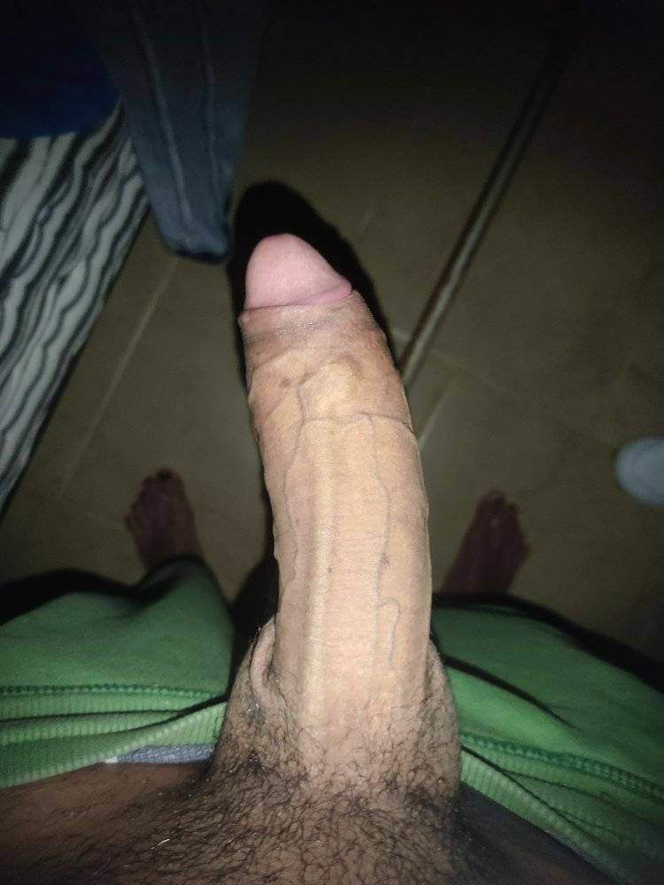 Cock_4