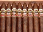 Ashton-VSG-Belicoso-1