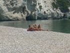 Vignanotica_Nudists 73