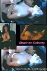 Shannon Doherty010