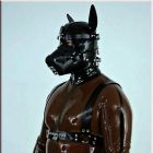dog-harness-with-leash_196_3