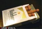 cigaretts