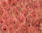 wall_of_vagina