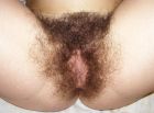 Hairy