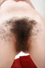 Hairy Spread 1