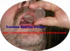 Sperma im Glas