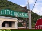 Little Dicks Rd