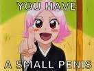 You have a small penis