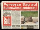 Zeitung Dieter Steffens Artikel Bullenwiese