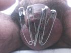 Cock with safety pins5
