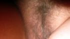 Behaarte Fotze2  Hairy Pussy