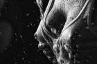 wet,black,and,white,nude,water,water,drops,woman-f7f16ab33c514edf102285ec03d934f0_h