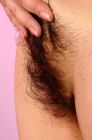 Hairy Closeup 041