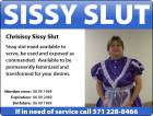 Chrisissy Sissy Slut ID Card 06 09 2010