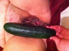 Cucumber 3