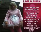 I sissybabysophie (Hugh Thompson) 2