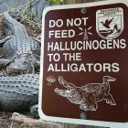 Do Not Feed Hallucinogens To The Alligators