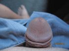 My Little Cock 081