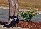 Flowers_and_Fishnets