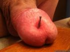 Dick Mods and stuffing (79)