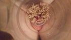 maggot play 20141218_111432