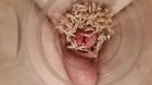 maggot play 20141218_111535