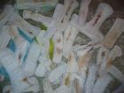 tampons, tampax, pads, pantyliners and more (0269)