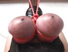 sparrow11 - stretched nipples and tied tits 3 - 0011 - 555