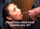 the toilet bowl