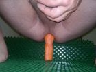 Carrot (3)