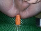 Carrot (6)