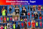 Crossdressing Faggot Humiliation (3)