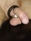 Cock-Ring-1475