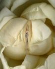 vagina flowers 12