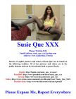 Susie Que Websites 7