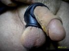 Cock-Ring-1898