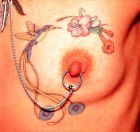 Pierced Nipples (12)