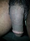 Hairy black cock 3